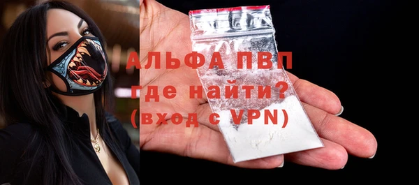 индика Медногорск