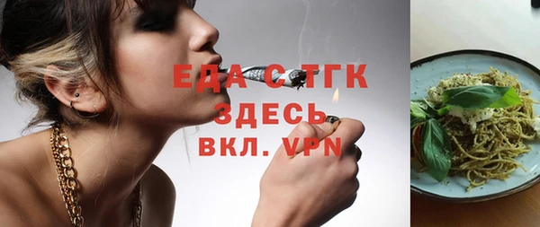 индика Медногорск