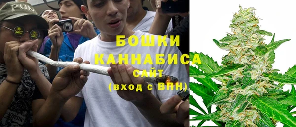 индика Медногорск