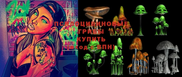 индика Медногорск