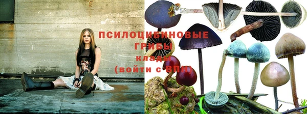 индика Медногорск