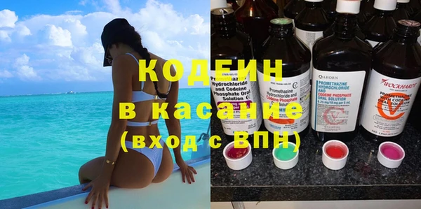 индика Медногорск