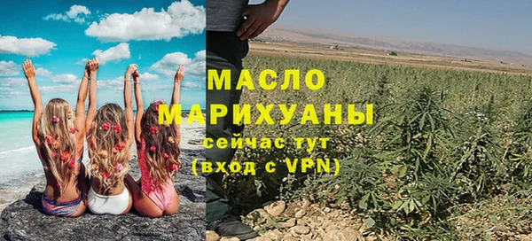 индика Медногорск