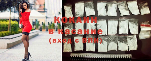 индика Медногорск