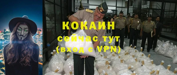 индика Медногорск