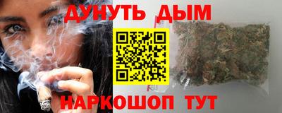 мдпв Камышлов