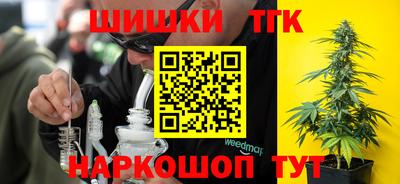 мдпв Камышлов