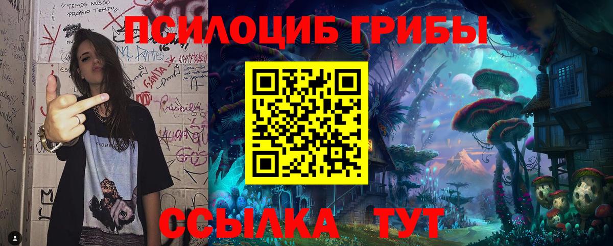 Псилоцибиновые грибы GOLDEN TEACHER Шатура