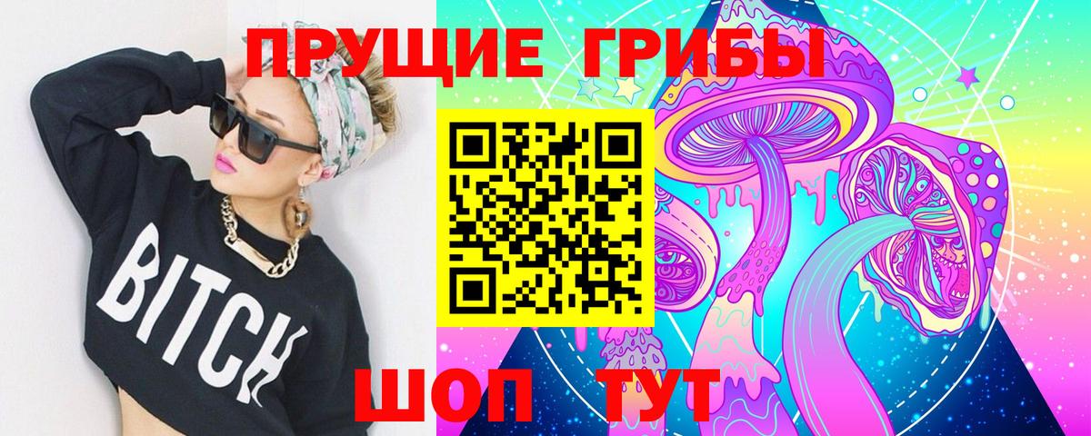 Шатура  Псилоцибиновые грибы MAGIC MUSHROOMS  Вход с VPN 