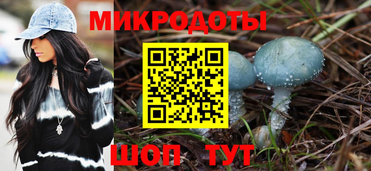 даркнет сайт  Шатура  Псилоцибиновые грибы Cubensis  Псилоцибиновые грибы Cubensis 