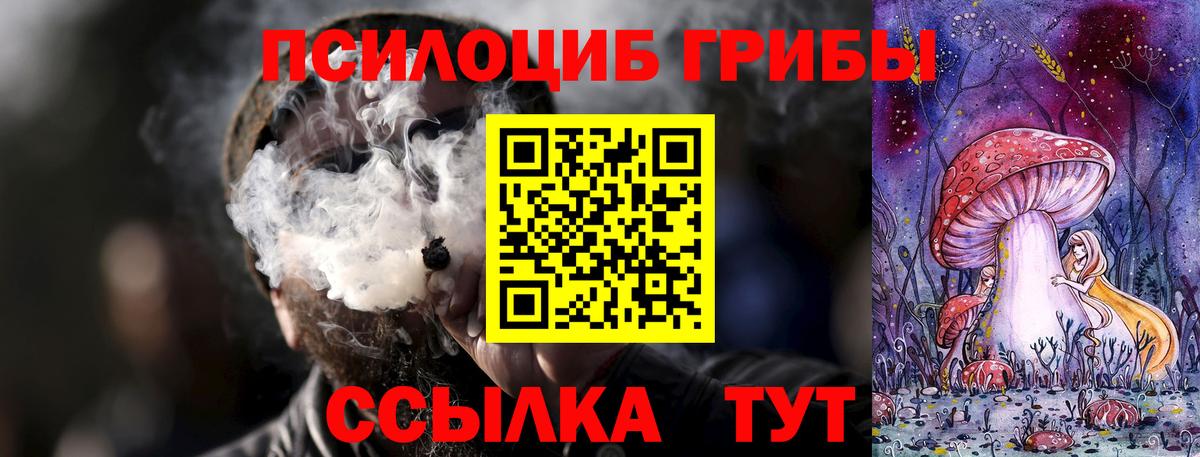 Галлюциногенные грибы прущие грибы Шатура