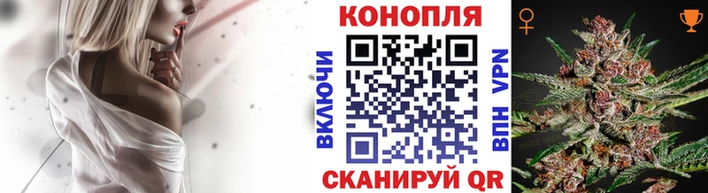 где продают наркотики  Шатура  Конопля SATIVA & INDICA 
